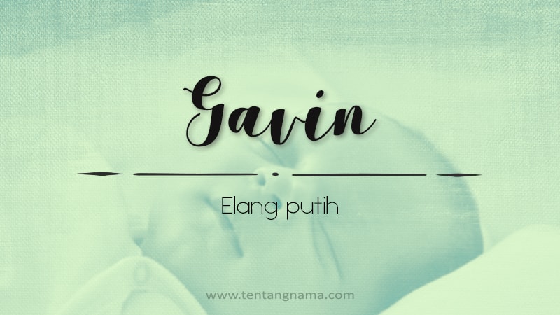 Arti Nama Gavin -Gavin
