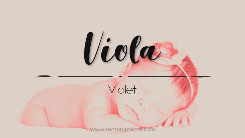 Arti Nama Viola - Viola