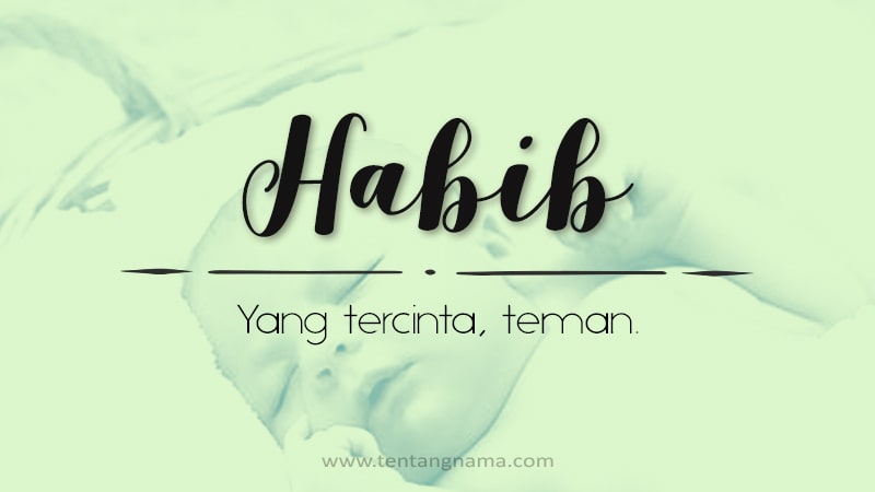 Arti Nama Habib - Habib