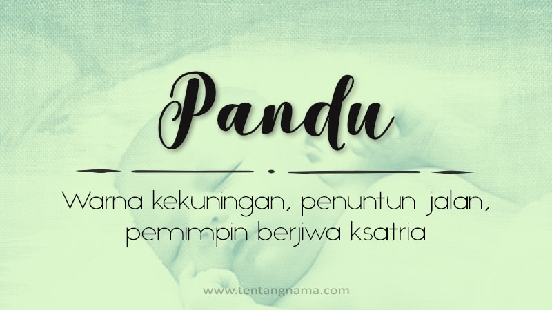 Arti Nama Pandu - Pandu