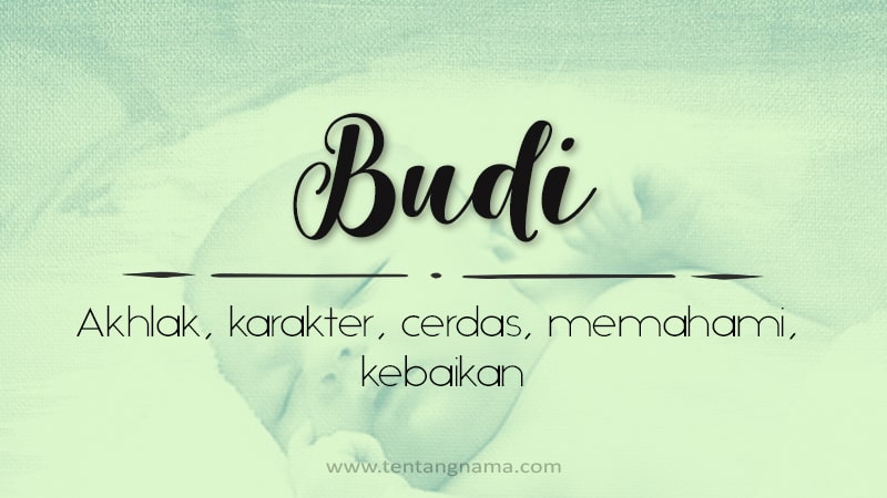 Arti Nama Budi - Budi
