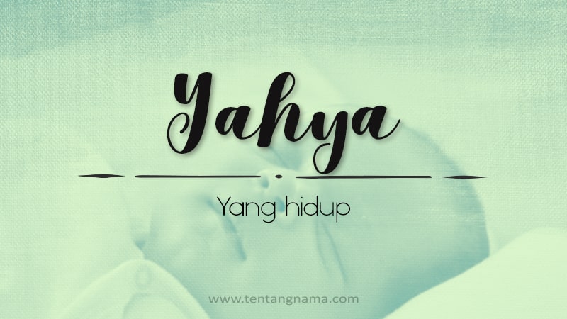 Arti Nama Yahya - Yahya